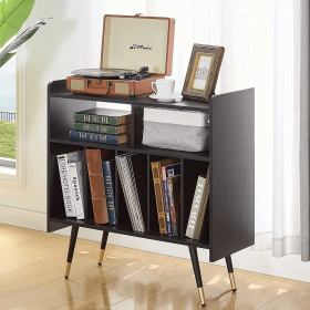 2-Shelf Audio Record Rack with USB interface
