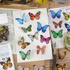 80 Pcs Elegant Butterfly Stickers PET Transparent Decorative Decals For Phone Laptop Waterbottle Planner Diary Journal Scrapbook